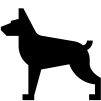 Caninos