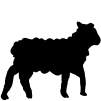 Ovinos