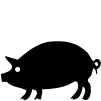 Porcinos